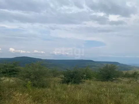 Участок в Ставропольский край, Ставрополь Встреча садовое ...