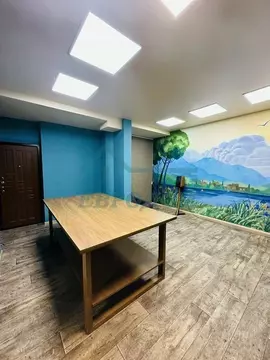 Офис в Новосибирская область, Новосибирск ул. Романова, 39 (28 м)