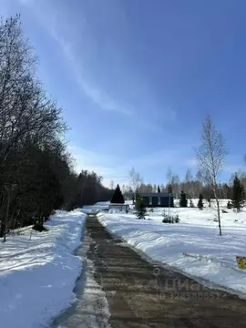 Участок в Московская область, Рузский муниципальный округ, д. Паново  ...