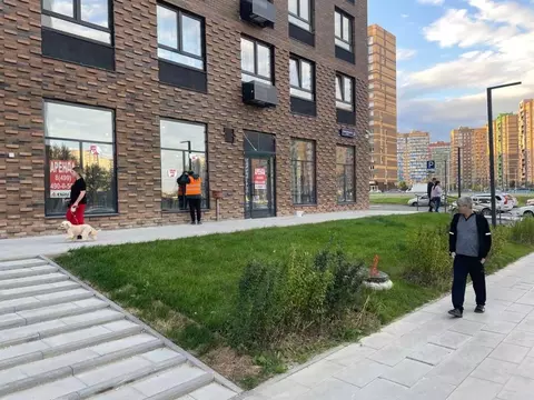 Помещение свободного назначения в Московская область, Ленинский ...