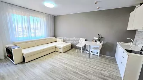 Студия Санкт-Петербург ул. Салова, 61 (33.0 м)