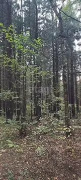 Участок в Ярославская область, Ростовский муниципальный округ, ...