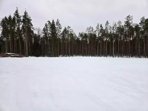 Участок в Ленинградская область, Выборгский район, пос. Поляны  (12.0 ...