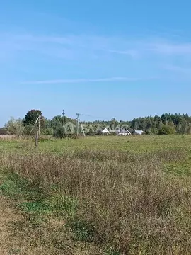 Участок в Владимирская область, Судогодский район, д. Станки ул. ...