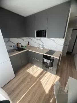 Студия Ярославская область, Ярославль ул. Спасская, 2 (29.0 м)