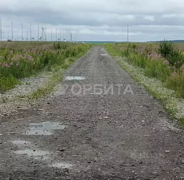 Участок в Тюменская область, Тюменский муниципальный округ, д. ...