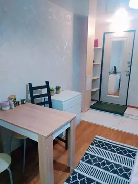 Студия Пермский край, Пермь ул. Пушкина, 13 (16.0 м)