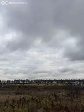 Участок в Семилуки, улица Гагарина (250 м)