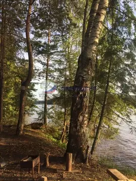 Участок в Нижегородская область, Сокольский городской округ, д. ...