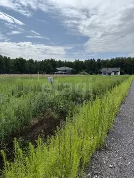 Участок в Тюменская область, Тюменский муниципальный округ, с. ...