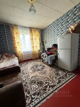 Студия Алтайский край, Бийск пер. Владимира Мартьянова, 39/1 (13.0 м)