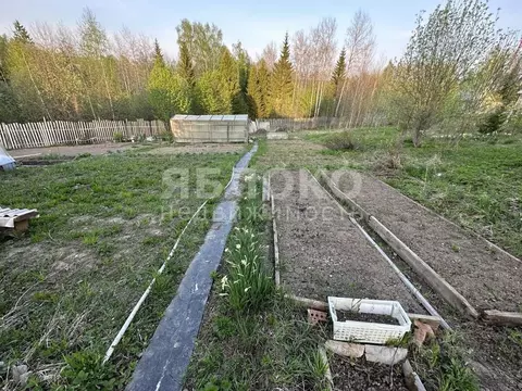 Дом в Пермский край, Березники № 41 СНТ,  (13 м)