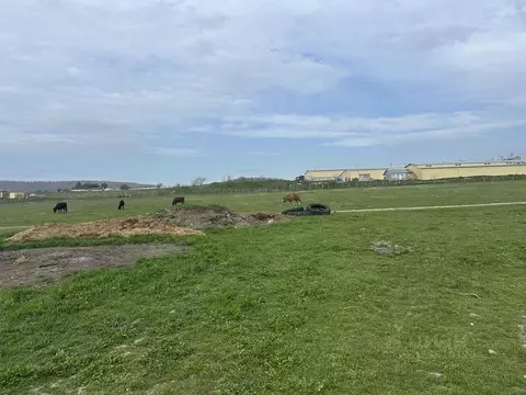 Участок в Крым, Бахчисарайский район, Долинненское с/пос, с. Новенькое ...