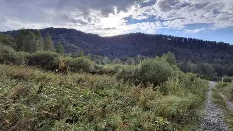 Участок в Алтай, Майминский район, Манжерокское с/пос, с. Озерное  ...