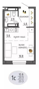 Студия Пермский край, Пермь Ижевская ул., 38 (23.3 м)
