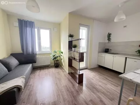 Квартира-студия: Санкт-Петербург, Муринская дорога, 12к2 (21 м)