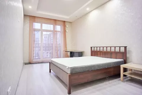 2-к кв. Санкт-Петербург ул. Малая Зеленина, 1/22 (43.0 м)