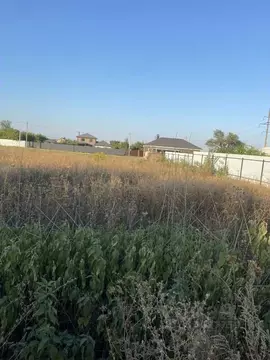 Участок в Воронежская область, Новоусманский район, Усманское 1-е ...