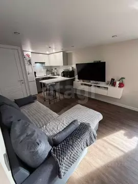 Студия Вологодская область, Вологда ул. Леденцова, 6Б (35.0 м)