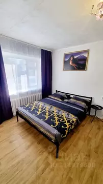 1-к кв. Амурская область, Благовещенск ул. Ломоносова, 174 (30.0 м)