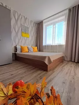 Студия Тюменская область, Тюмень ул. 50 лет Октября, 75к1 (20.0 м)