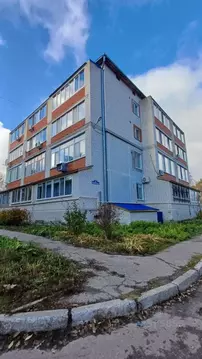 2-к кв. Ульяновская область, Ульяновск ул. Варейкиса, 41 (41.0 м)