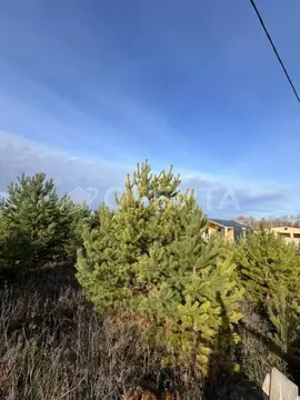 Участок в Тюменская область, Тюменский муниципальный округ, с. ...