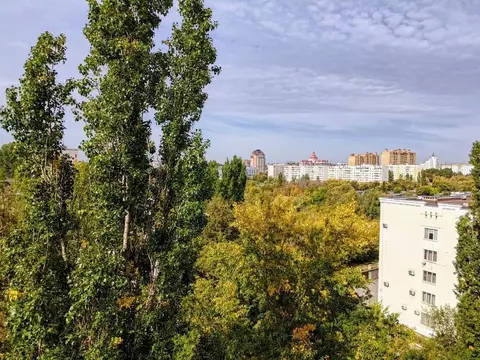 1-к кв. Липецкая область, Липецк ул. М. Горького, 15 (34.7 м)