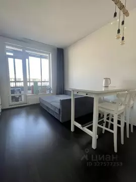 Студия Санкт-Петербург ул. Новосергиевская, 3 (24.3 м)