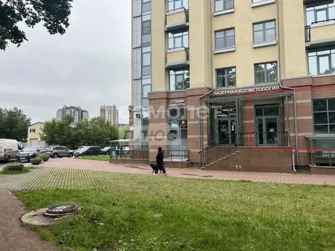 Торговая площадь в Санкт-Петербург Московский просп., 183-185 (101 м)