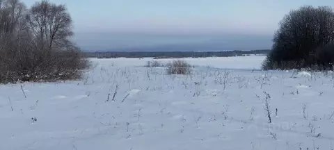 Участок в Московская область, Можайский муниципальный округ, д. Сельцы ...
