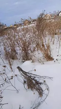 Участок в Тюменская область, Нижнетавдинский район, Строитель ТСН ул. ...