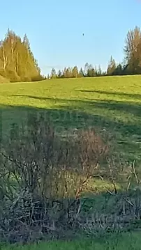 Участок в Новгородская область, Валдайский район, Короцкое с/пос, д. ...