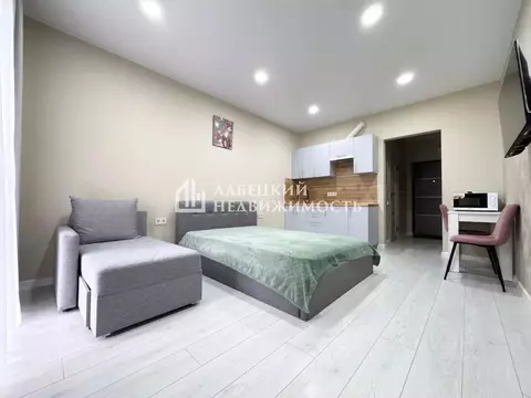 Студия Краснодарский край, Сочи ул. Искры, 88 (24.9 м)