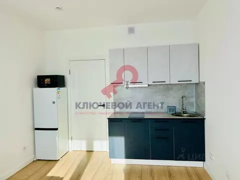Студия Санкт-Петербург просп. Крузенштерна, 4с1 (21.0 м)
