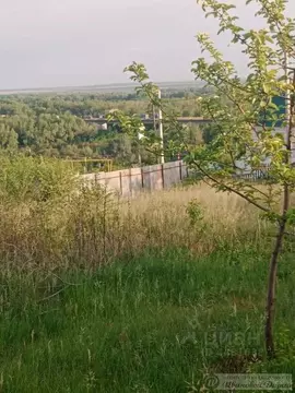 Участок в Самарская область, Кинель городской округ, Алексеевка пгт ...