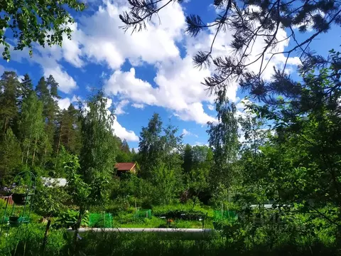 Дом в Ленинградская область, Приозерский район, Севастьяновское с/пос, ...