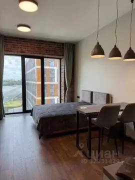 Студия Санкт-Петербург наб. Макарова, 58 (32.0 м)