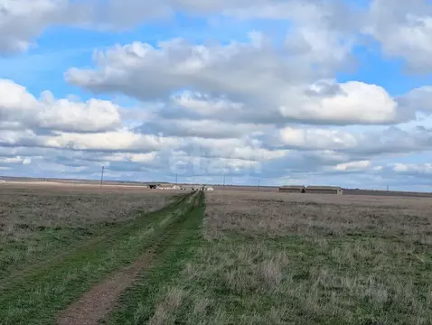 Участок в Крым, Черноморский район, с. Окуневка  (6.0 сот.)