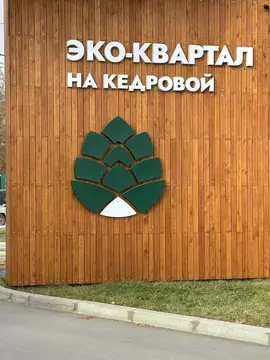 Студия Новосибирская область, Новосибирский район, Мочищенский ...