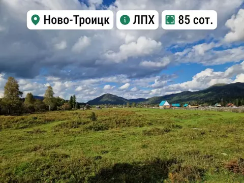 Участок в Алтай, Турочакский район, с. Ново-Троицк  (85.0 сот.)