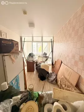 Квартира-студия: Вологда, улица Карла Маркса, 121 (23.6 м)