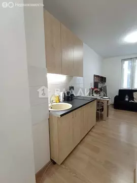 Квартира-студия: Красногорск, Большая Воскресенская улица, 1 (19 м)