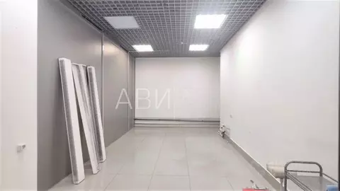 Офис в Новосибирская область, Новосибирск ул. Мичурина, 10/1 (22 м)