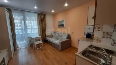 Студия Санкт-Петербург ул. Крыленко, 1к1с2 (26.0 м)