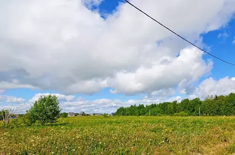 Участок в Ленинградская область, Ломоносовский район, Оржицкое с/пос, ...