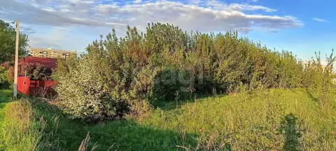 Участок в Удмуртия, Сарапул Центральный жилрайон, ул. Дубровская (7.2 ...