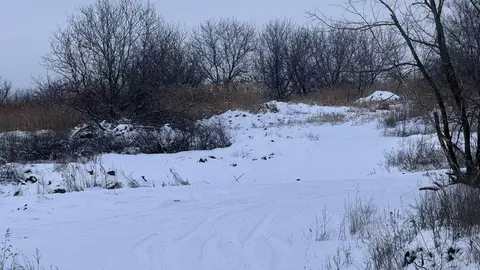 Участок в Волгоградская область, Волгоград ул. Вербная, 43 (10.0 сот.)