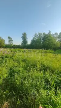 Участок в Санкт-Петербург, Санкт-Петербург, Павловск Славяночка-2 СНТ, ...