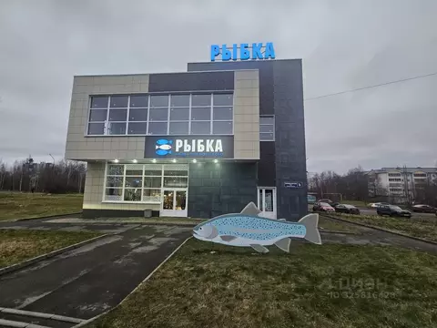 Помещение свободного назначения в Карелия, Петрозаводск ...